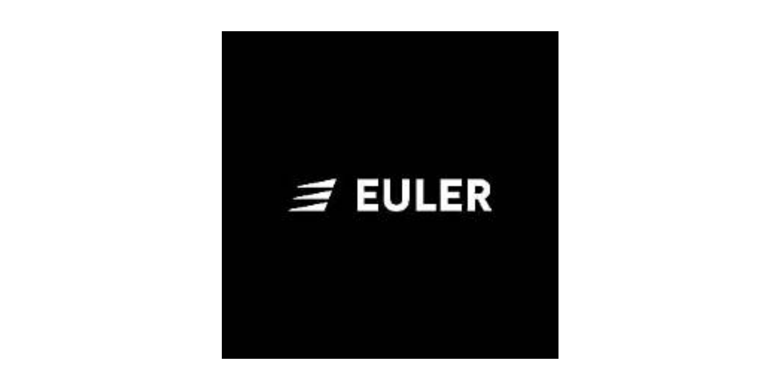Euler Motors brand
