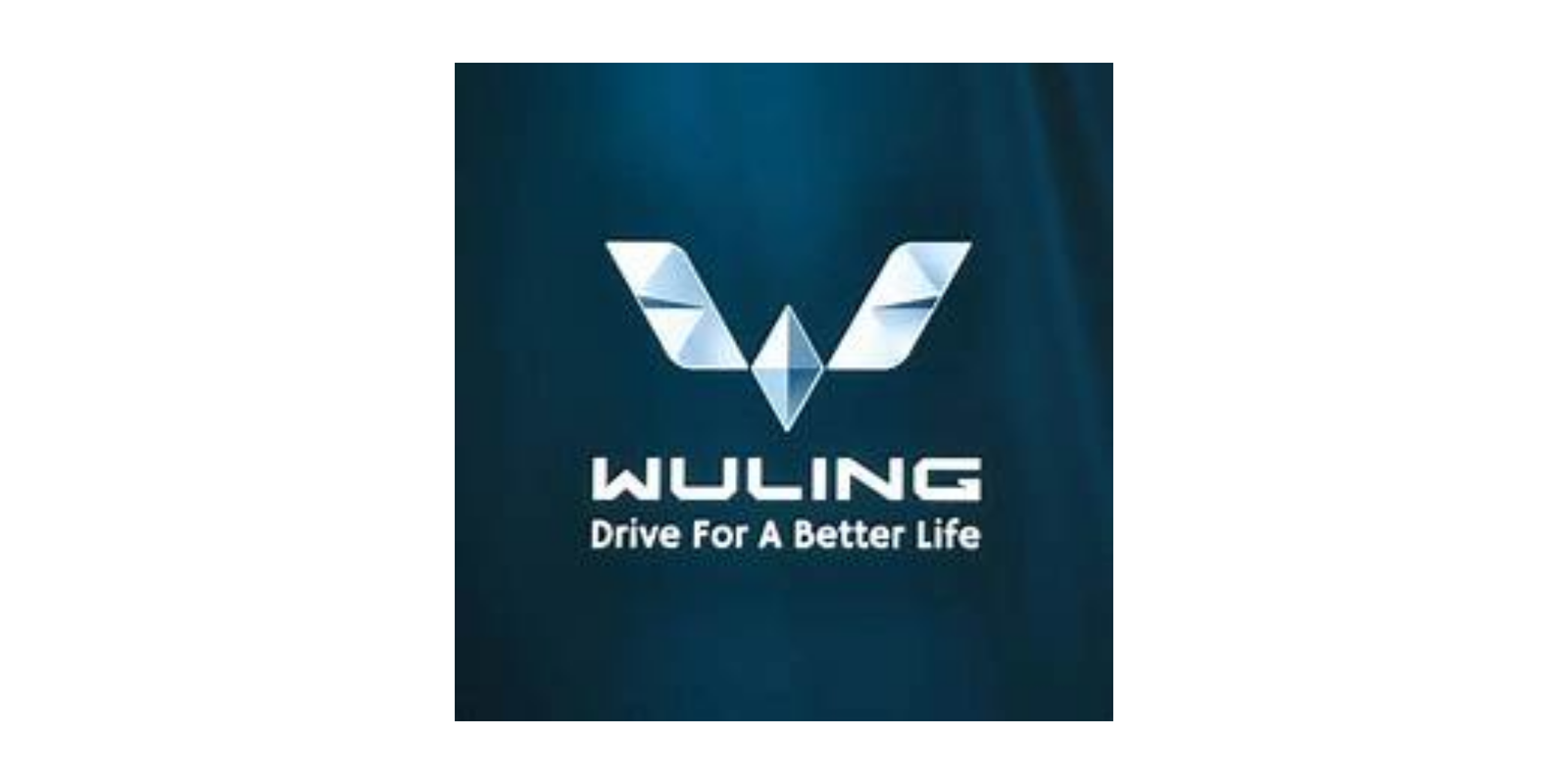 Wuling brand